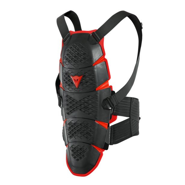 Dainese Pro-Speed Back Protector